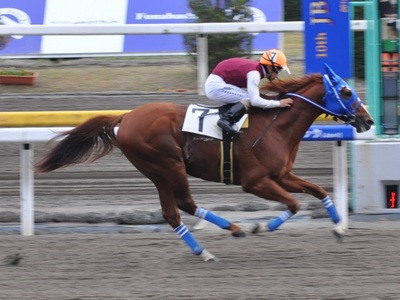 アドマイヤバクシン＆川島正太郎