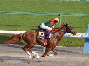 サマーウインドが先頭でゴール