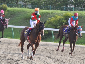 サマーウインドと藤岡佑介