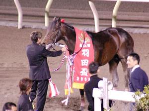 優勝馬　ナイキハイグレード