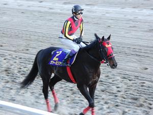 優勝馬ヴァーミリアン＆武豊