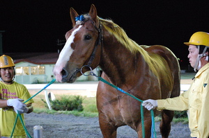 優勝馬ホクショウバンク