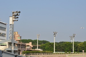 猛暑が続く大井競馬場