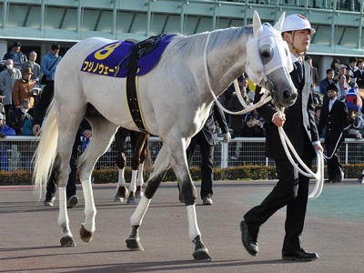 フジノウェーブ