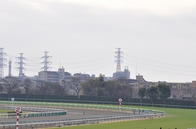 中山競馬場