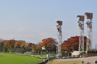 好天の東京競馬場