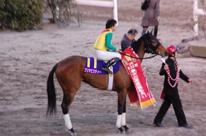 優勝馬プリマビスティー