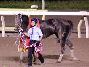 優勝馬テスタマッタ