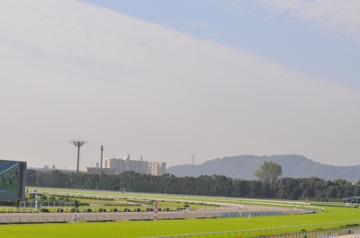 京都競馬場