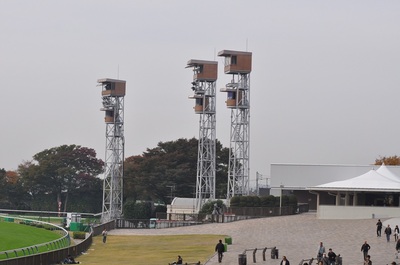 東京競馬場