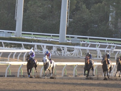 ２頭のマッチレースの形に