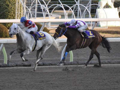 フジノウェーブが先頭に