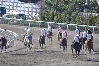 どの馬も全力でゴール板を通過