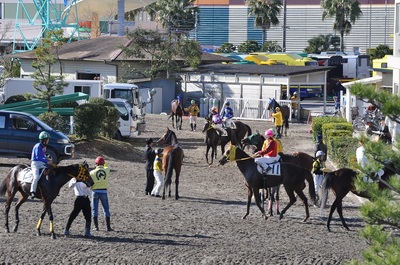 戻って来るなり、鞍を外される馬も