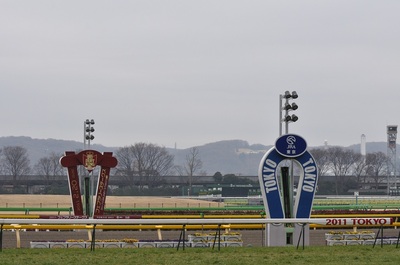 東京競馬場