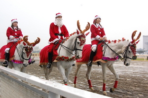 クリスマス仕様