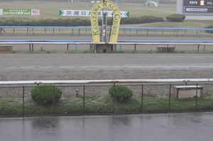 レース直前に激しい雨