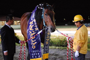 優勝馬ニシキダイジン