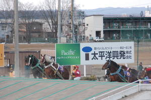 スーパークリントン、ニシキダイジン、トモエパワーが動く