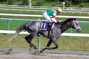 優勝馬マコトスパルビエロ