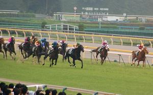 最後の直線　人気馬２頭が馬場の中央から抜け出す