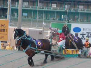 ニシキダイジンが第２障害を先頭でクリア