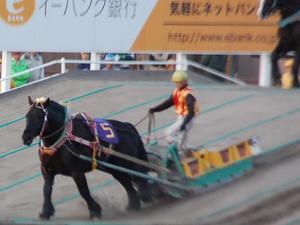 続いてカネサブラックが第２障害をクリア