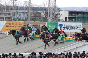 カネサブラック、ニシキダイジンが続いてクリア