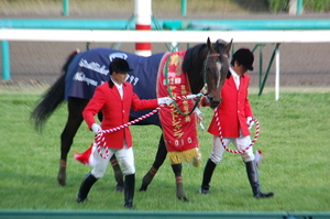 優勝馬メルシーモンサン