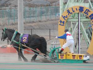 トモエパワー優勝