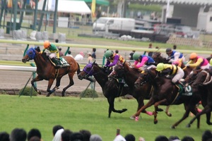 最後の直線は横一線の大混戦