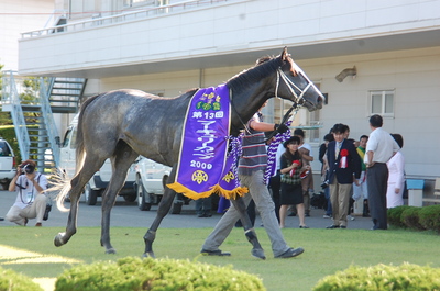 マコトスパルビエロ