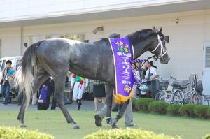 優勝馬マコトスパルビエロ