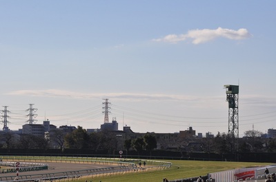 中山競馬場