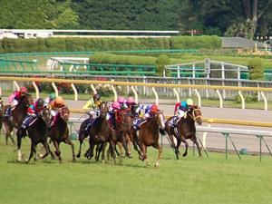 直線でウオッカの前が壁に