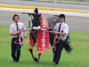 優勝馬シンゲン