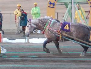 ４着フクイズミ