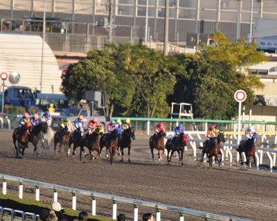 スタート直後、ブラボーデイジーが出遅れ