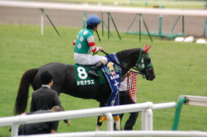 優勝馬ドモナラズ