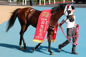 優勝馬マイネルスターリー