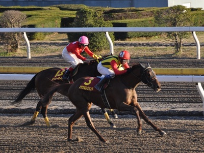 ミラクルレジェンドが先頭に