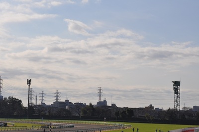 中山競馬場