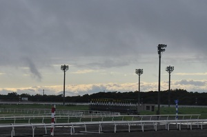 夕方になって、空が明るくなりました