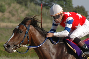 優勝馬ギオンゴールド