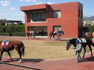 佐賀競馬場パドックです