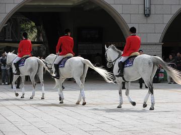 入場門外に誘導馬