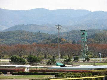 紅葉が始まっています