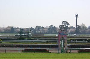 中山競馬場