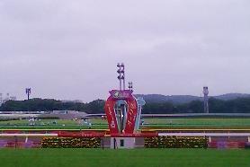 東京競馬場