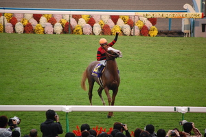 菊花賞優勝馬オウケンブルースリ